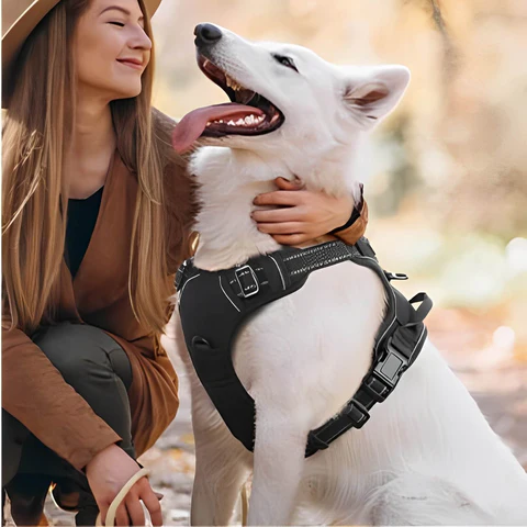 Femme avec son chien portant le harnais noir Traxio™ Femme avec son chien portant le harnais noir Traxio™ avec détails réfléchissants et poignée robuste dans un parc