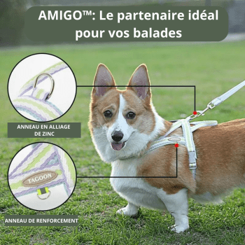 harnais chiot confortable