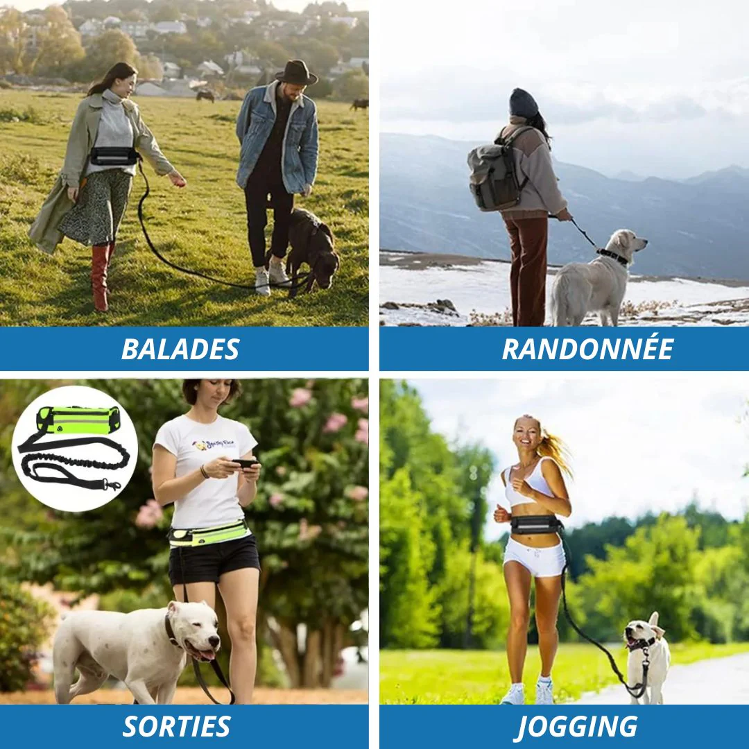 Différentes utilisations de la laisse FreeLeash™ dans quatre lieux distincts Différentes utilisations de la laisse FreeLeash™ dans quatre lieux distincts