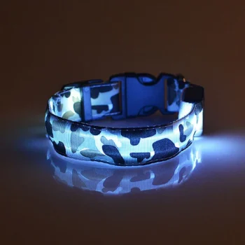 collier led chien nuit
