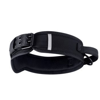 collier chien fermeture securisee