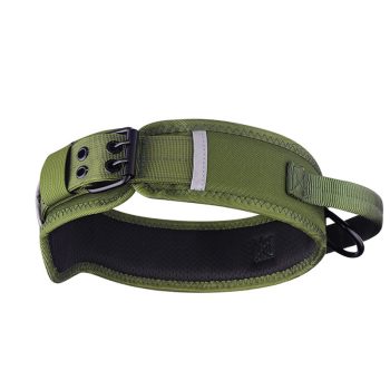 collier chien militaire vert