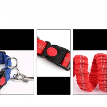 ceinture laisse confortable chien