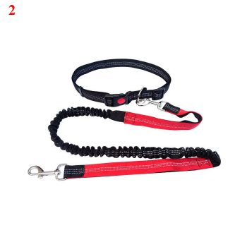 ceinture laisse chien traction