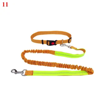 laisse chien resistante sport
