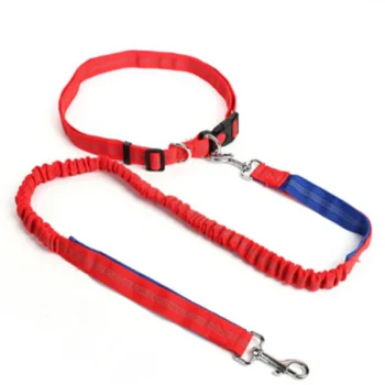laisse chien sport exterieur