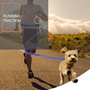 chien jogging laisse mains libres