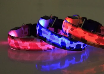 colliers lumineux confortables chien