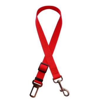 attache ceinture chien voiture