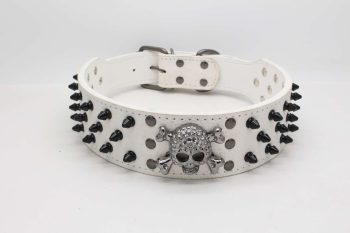 Collier clouté pour chien RebelClaw™ en simili cuir blanc avec clous argentés